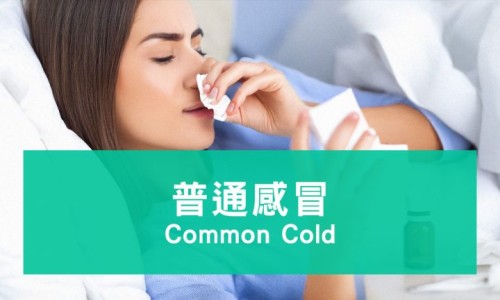 睾丸不出汗 但一直冷网 | 蛋蛋不凉正常吗,睾丸不出汗 但一直冷痛