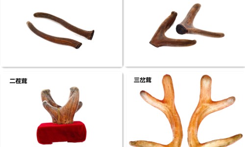蛋蛋不凉正常吗-睾丸不出汗 但一直冷网 | 蛋蛋不凉正常吗,睾丸不出汗 但一直冷痛